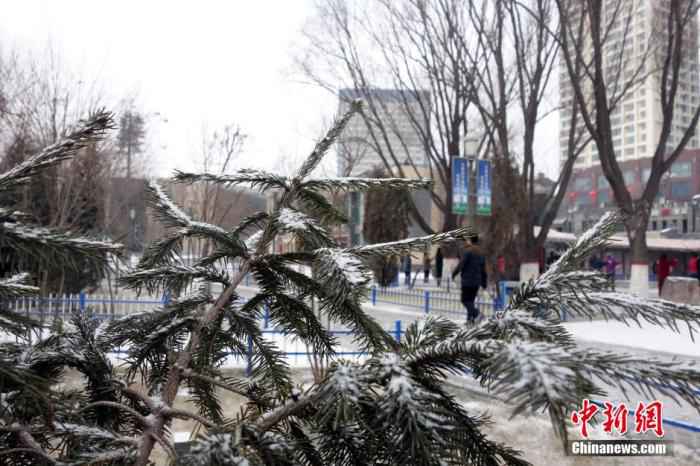 资料图：这是青海省“立春”后首次降雪。赵凛松 摄