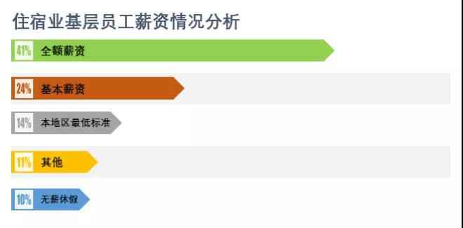 报告截图