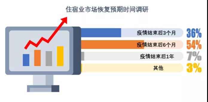 报告截图