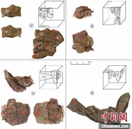 岑家湾代表性拼合组的解析。杨石霞 供图