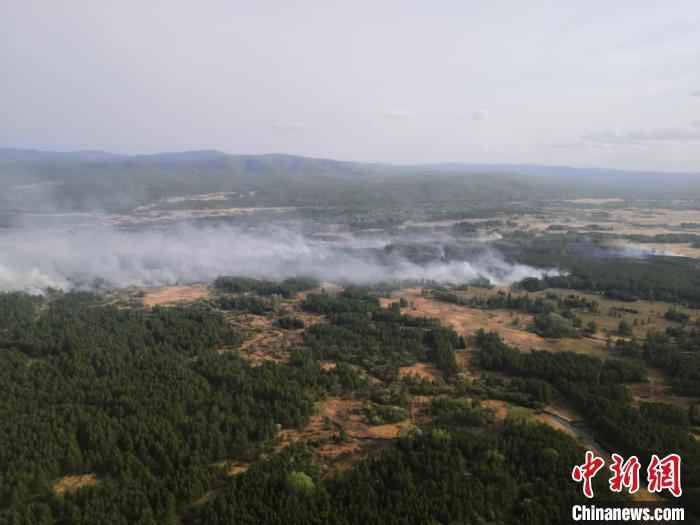 图为内蒙古大兴安岭库都尔林业局小九亚林场。 内蒙古大兴安岭重点国有林管理局供图