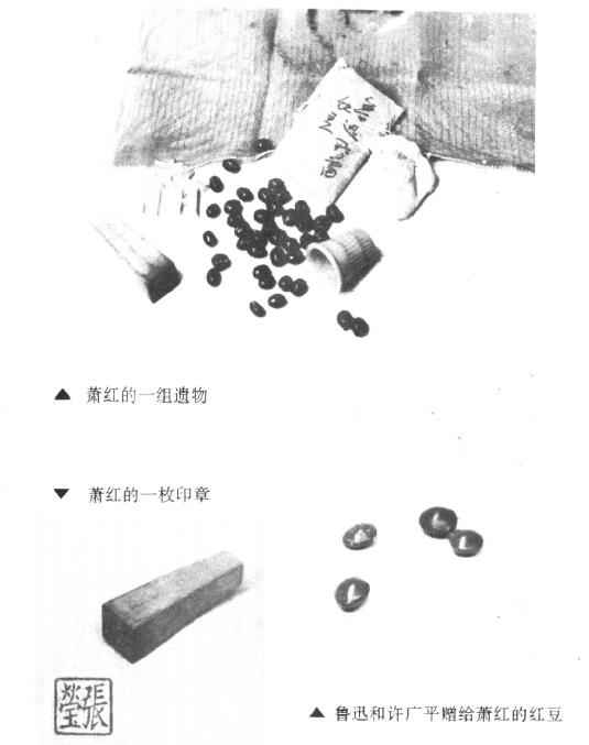 《萧红全集》中的红豆插图。翻摄自《萧红全集》