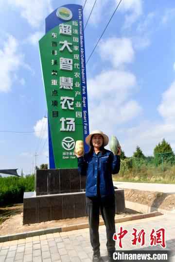 甘肃超大新添智慧农场负责生产指导的杨花莲展示丰收的蔬菜。　叶秋云 摄