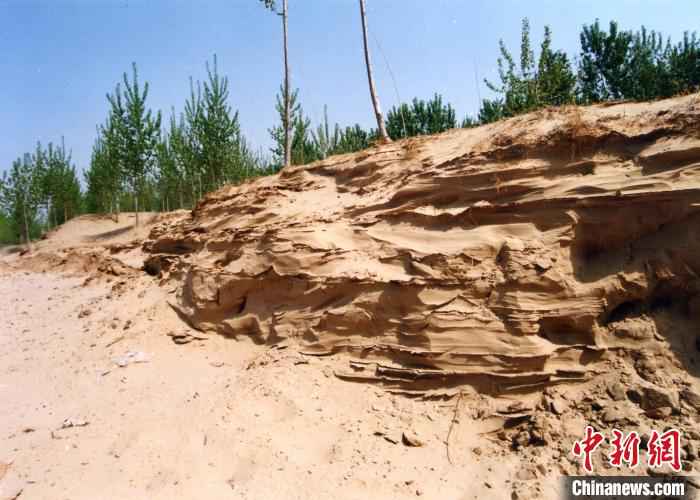 (资料图)治理前的黄河位山灌区沉沙池池区。　许瑞图 摄