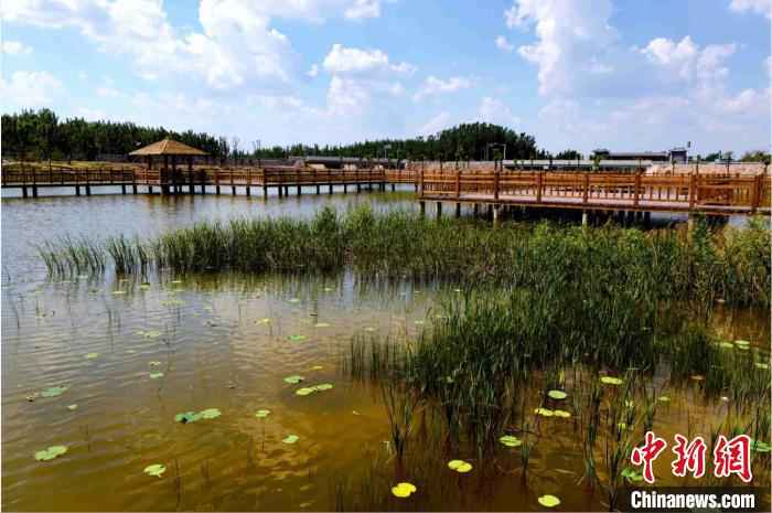 由沉沙池池区改造而成的位山湿地公园，岸边绿树成荫，木栈道在河中央蜿蜒盘踞着，水车吱吱呀呀的工作，耳边不时响起几声清脆的鸟叫声。　孙婷婷 摄