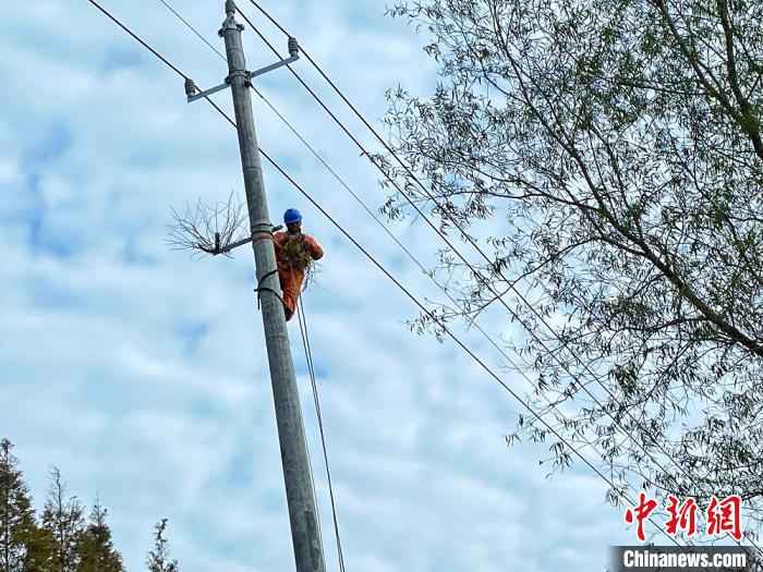 电力工人在电线杆上加装鸟巢。　陈庆华 摄